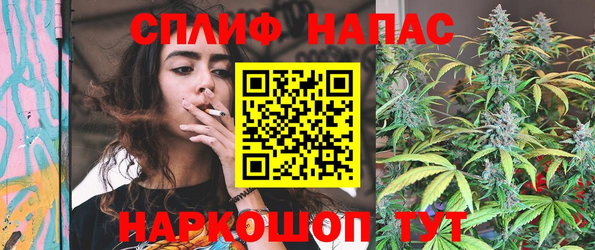 Канабис индика Горячий Ключ